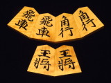 隆月作水無瀬御蔵島黄楊根杢彫将棋駒　新品/桐製平箱付(KS1239)
